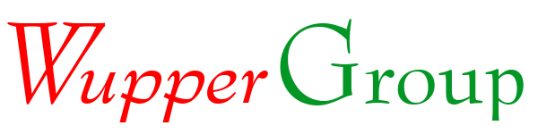 WupperGroup Logo